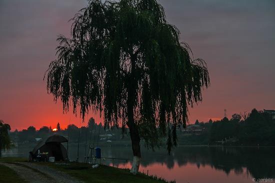 Jurnalul lui gor965: Glorie si faima, cu un fir de par!